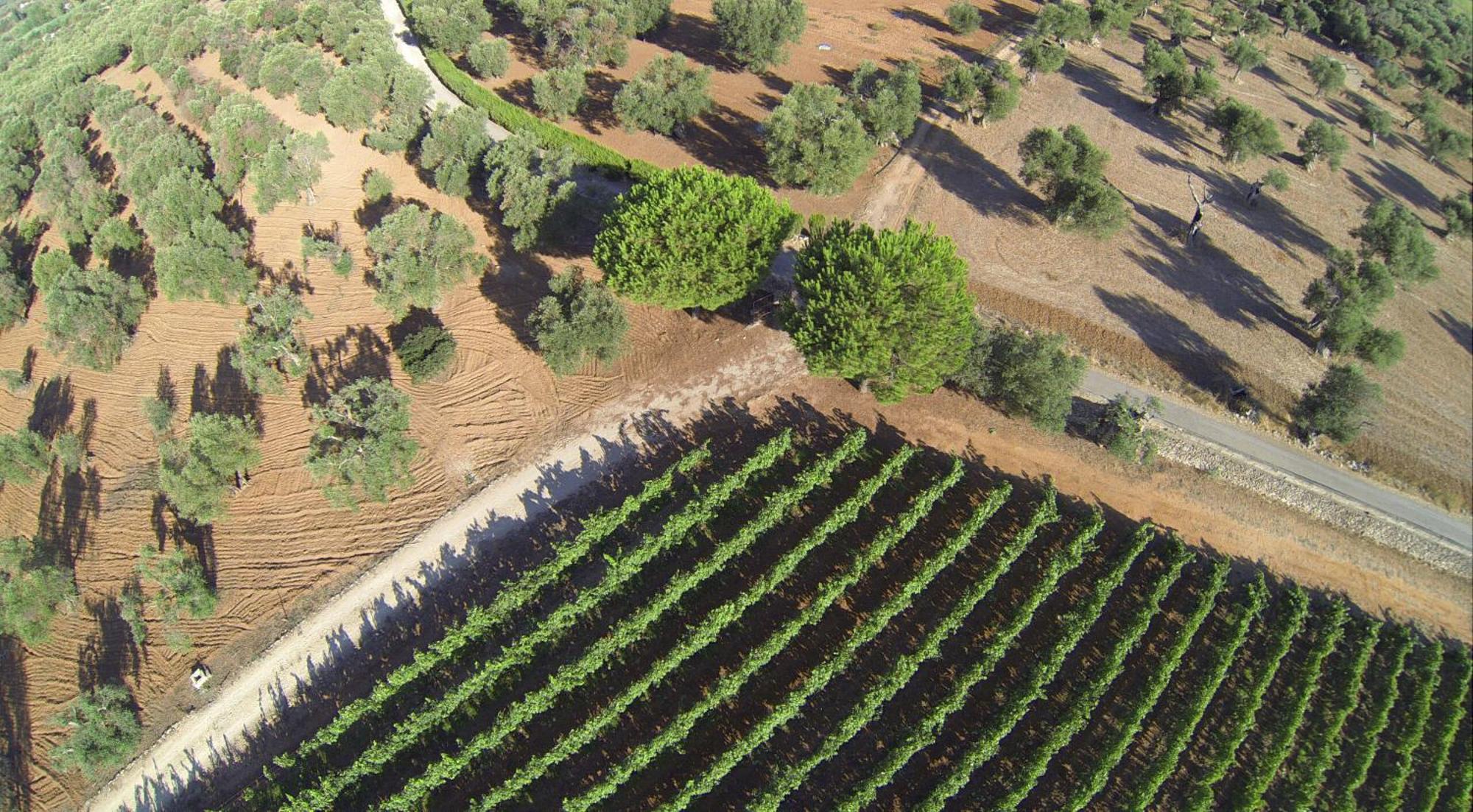 Tenuta Doxi กัลลีโปลี ภายนอก รูปภาพ